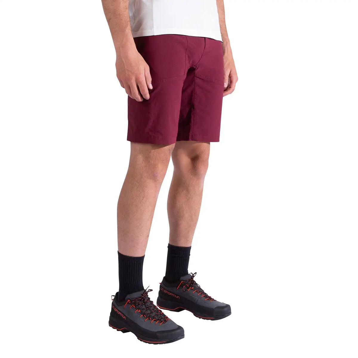 Talus Shorts Men's