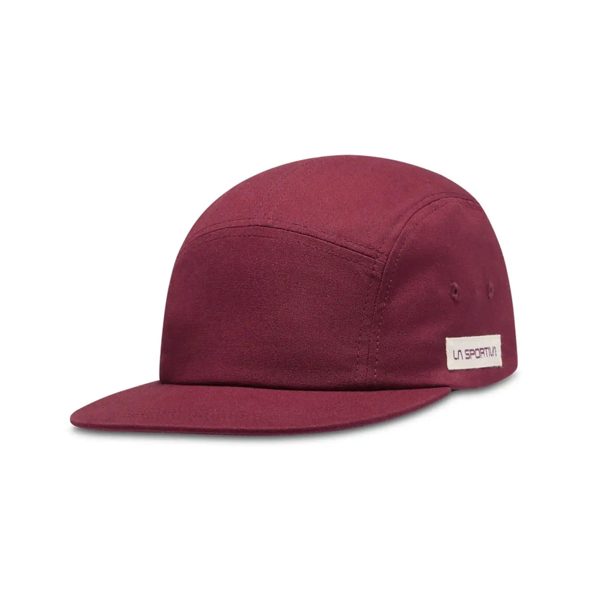 Mountain Logo Hat (2025)
