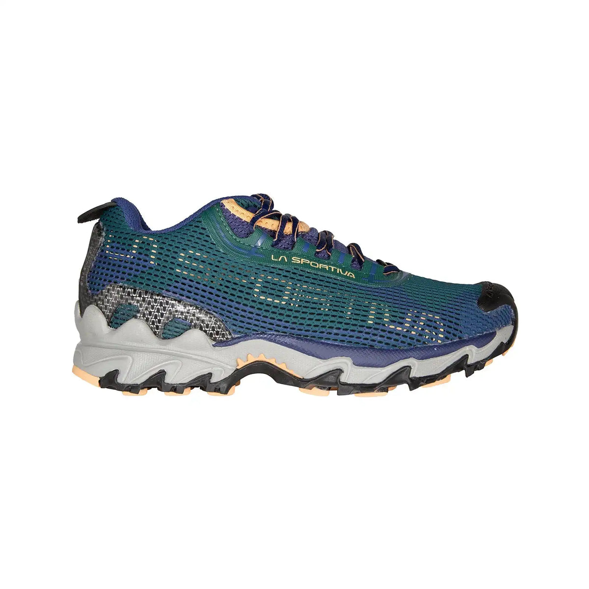 Wildcat 2.0 GTX Women's