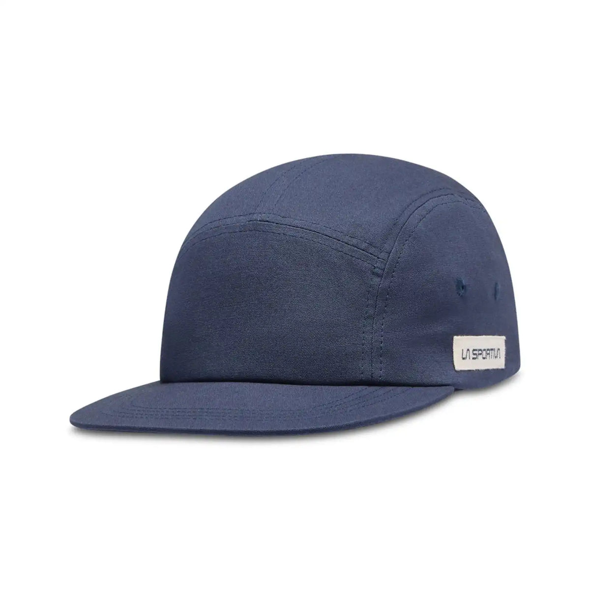 Mountain Logo Hat (2025)